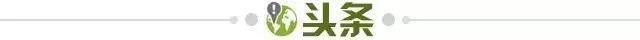 1776082658773070520.jpg 头条.jpg